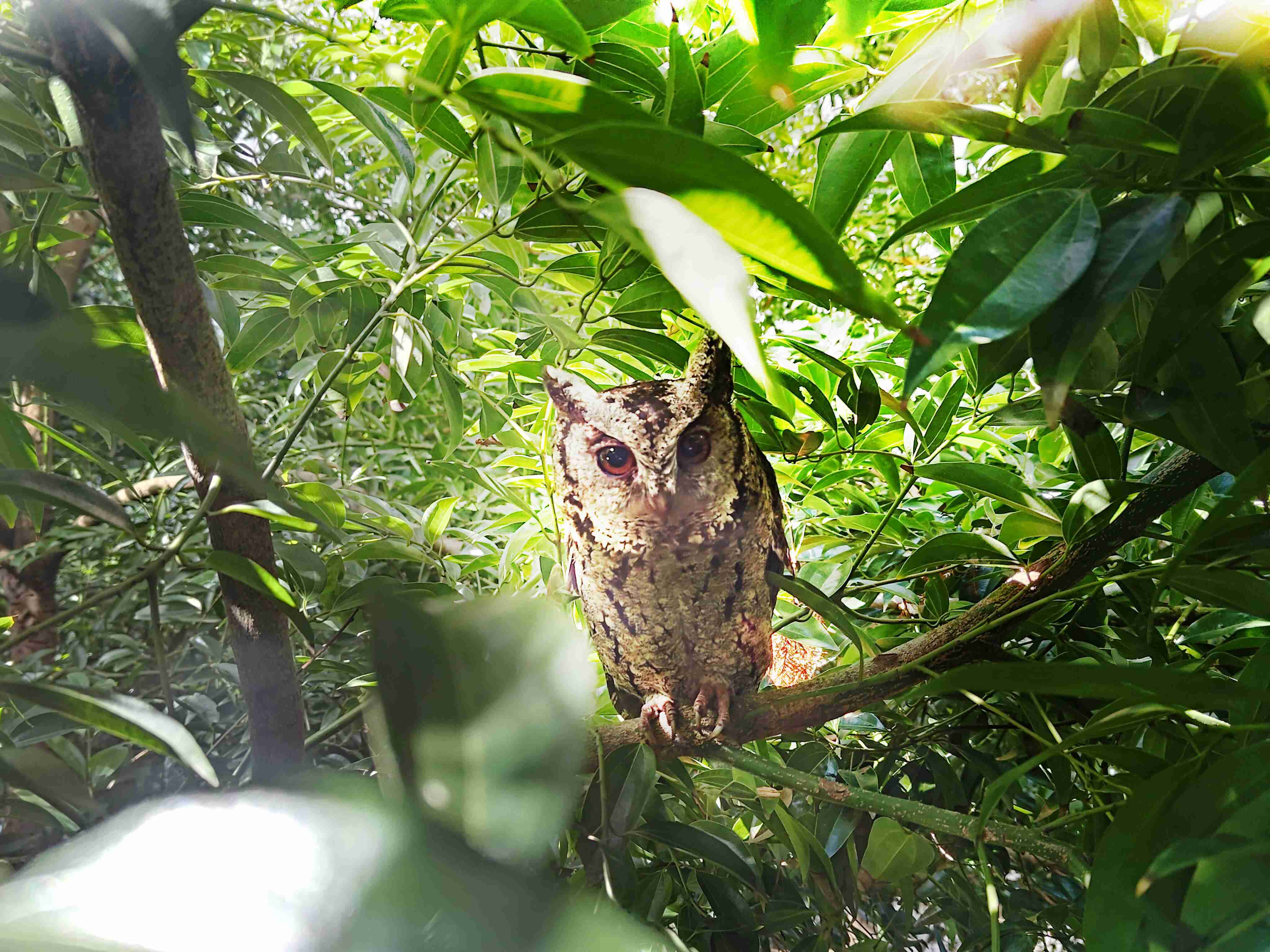 z6尊龙致力提倡净零绿生活，，，16年以来在全球各厂区植树逾百万棵，，，造就各厂区树木蔚然成林，，，，犹如森林工厂，，成为许多生物的栖息地